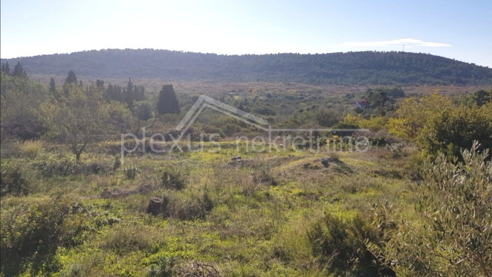 Land, 1000 m2, For Sale, Šolta - Srednje Selo