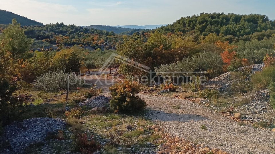 Land, 17430 m2, For Sale, Nerežišća