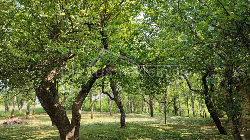 Hiša, 76 m2, Prodaja, Fužine - Lič