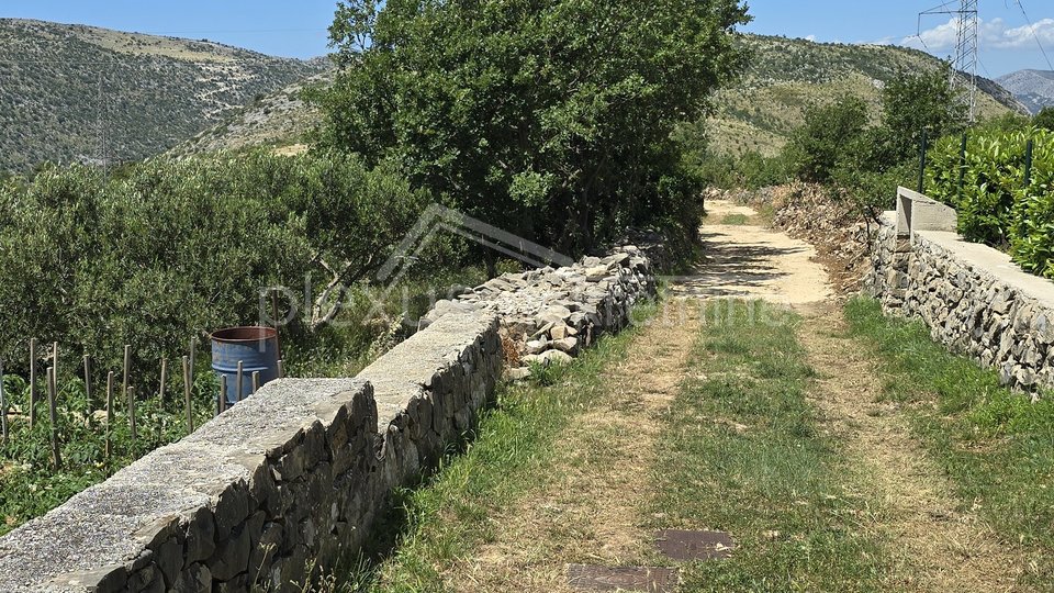 Zemljišče, 1400 m2, Prodaja, Donje Sitno